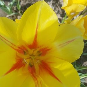 Meet your Posher, Aly